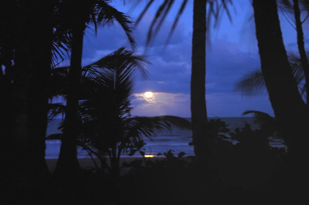 Resort Sejala Beach Huts Mission Beach